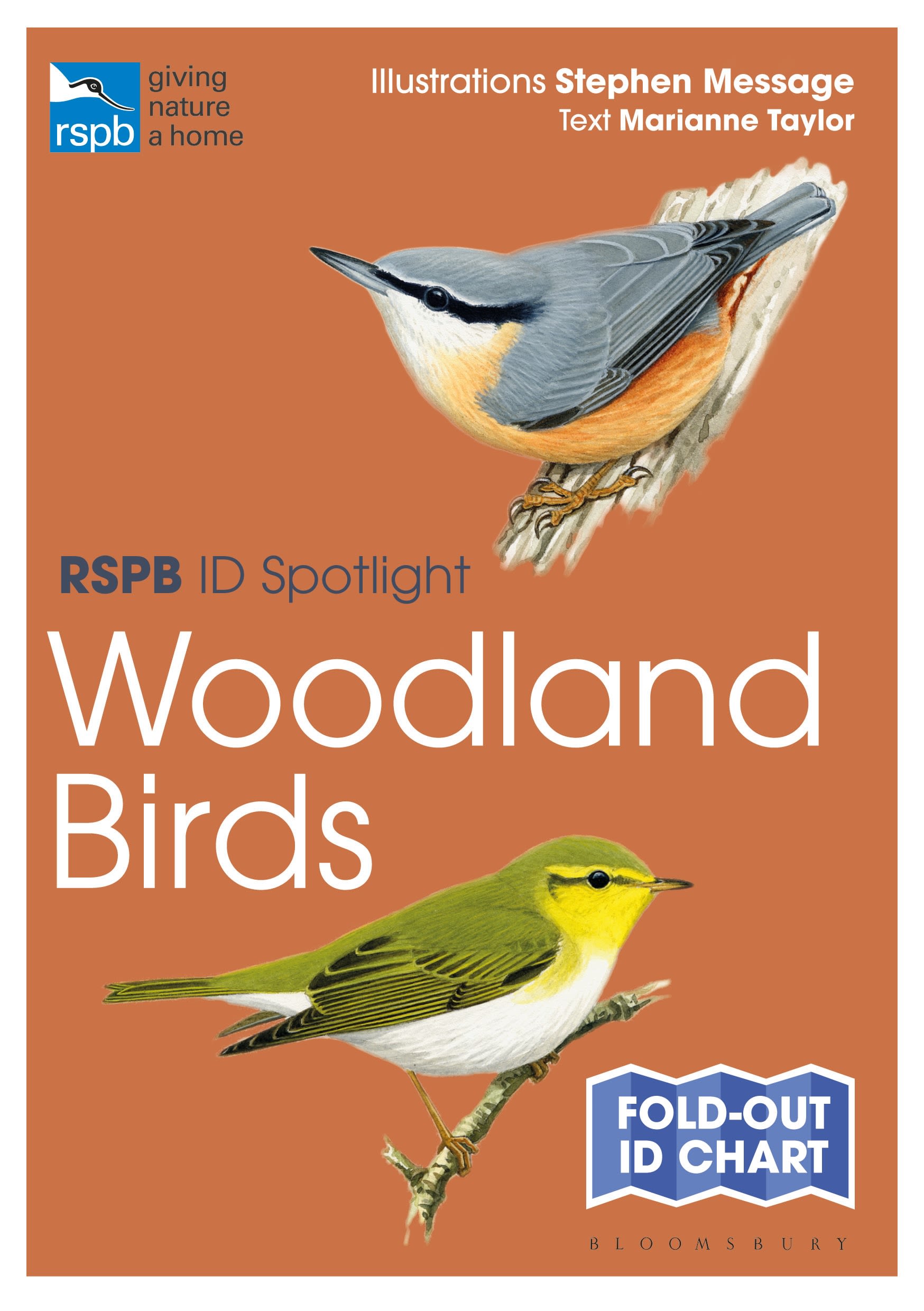 RSPB ID Spotlight - Woodland Birds 1 RSPB ID Spotlight - Woodland Birds