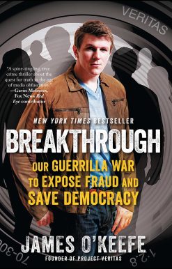 Breakthrough: Our Guerilla War to Expose Fraud and Save Democracy