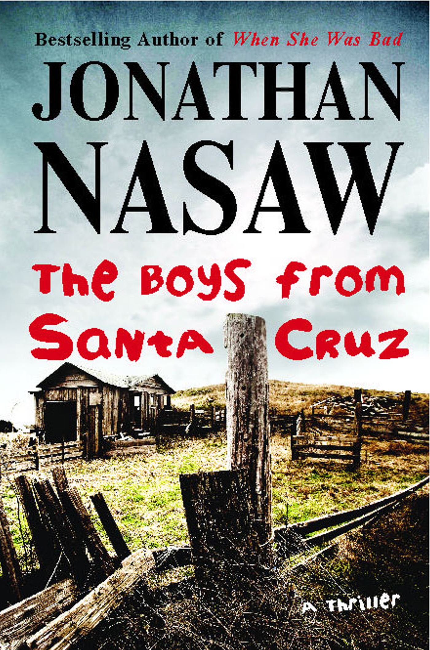 The Boys from Santa Cruz: A Thriller