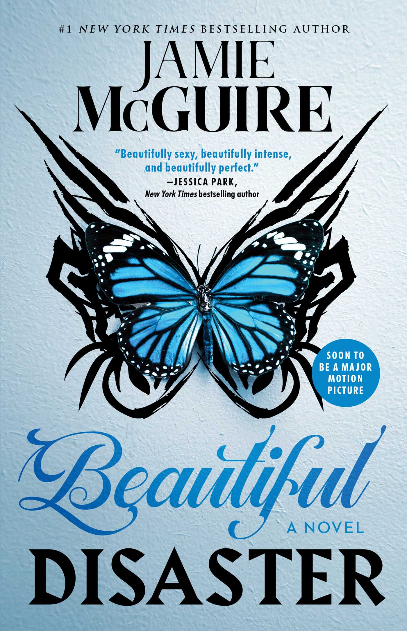 Beautiful Disaster: A Novel