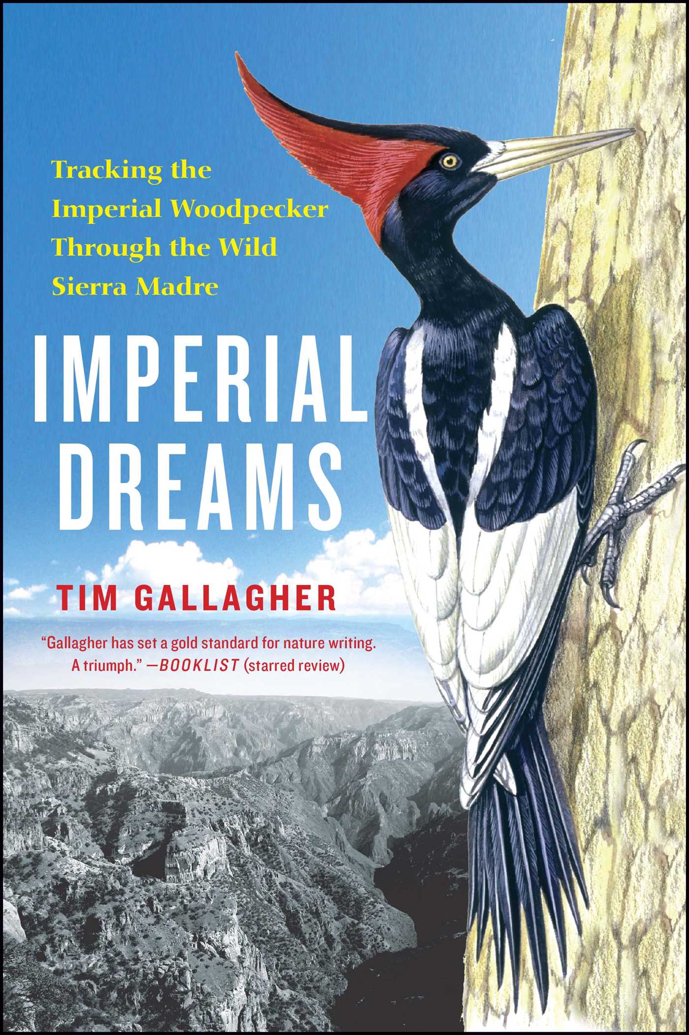 Imperial Dreams: Tracking the Imperial Woodpecker Through the Wild