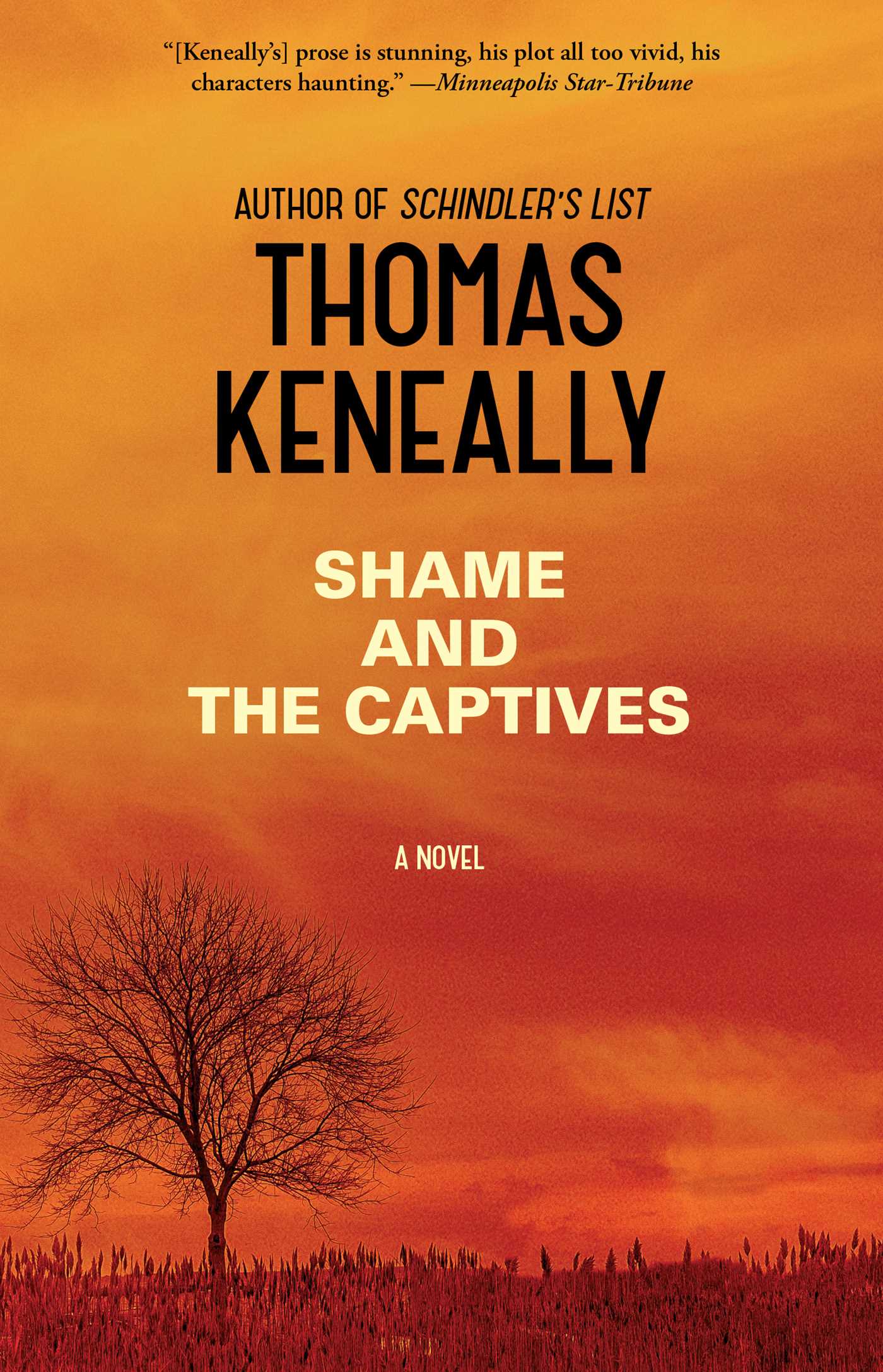 Shame and the Captives: A Novel