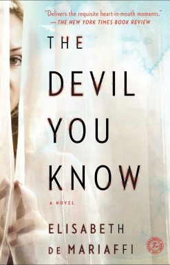 The Devil You Know: A Novel