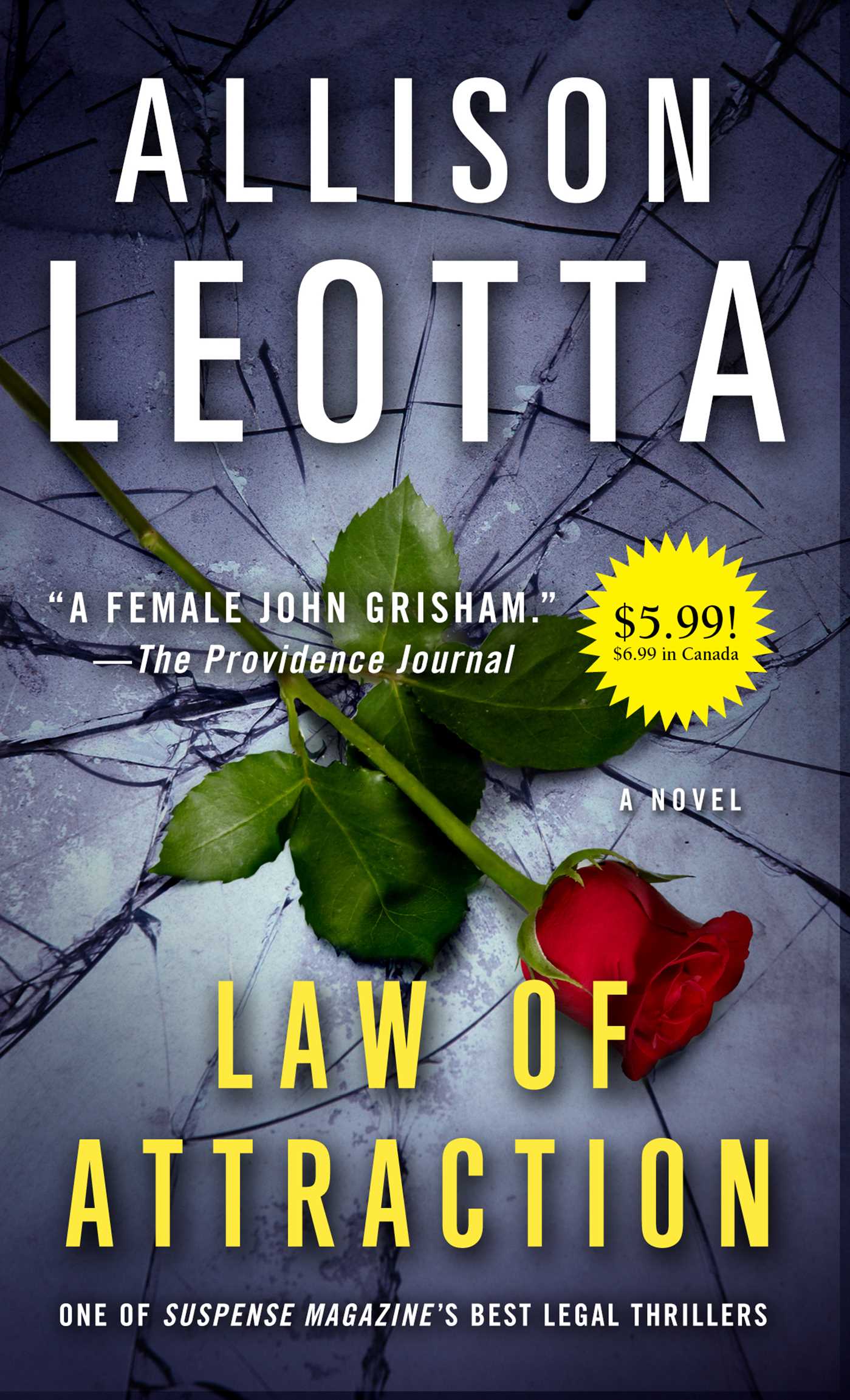 Law of Attraction: A Novel