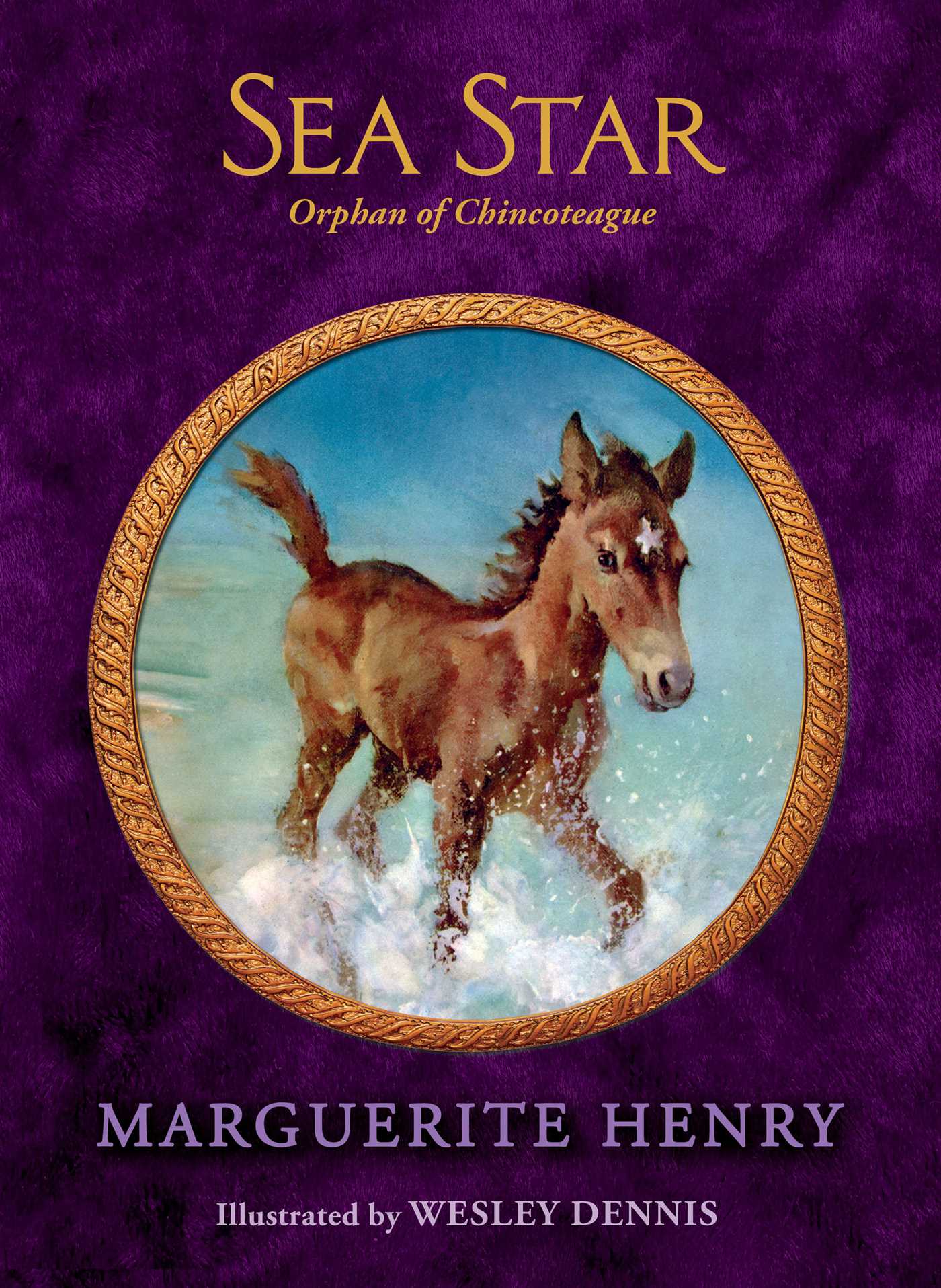 Sea Star: Orphan of Chincoteague