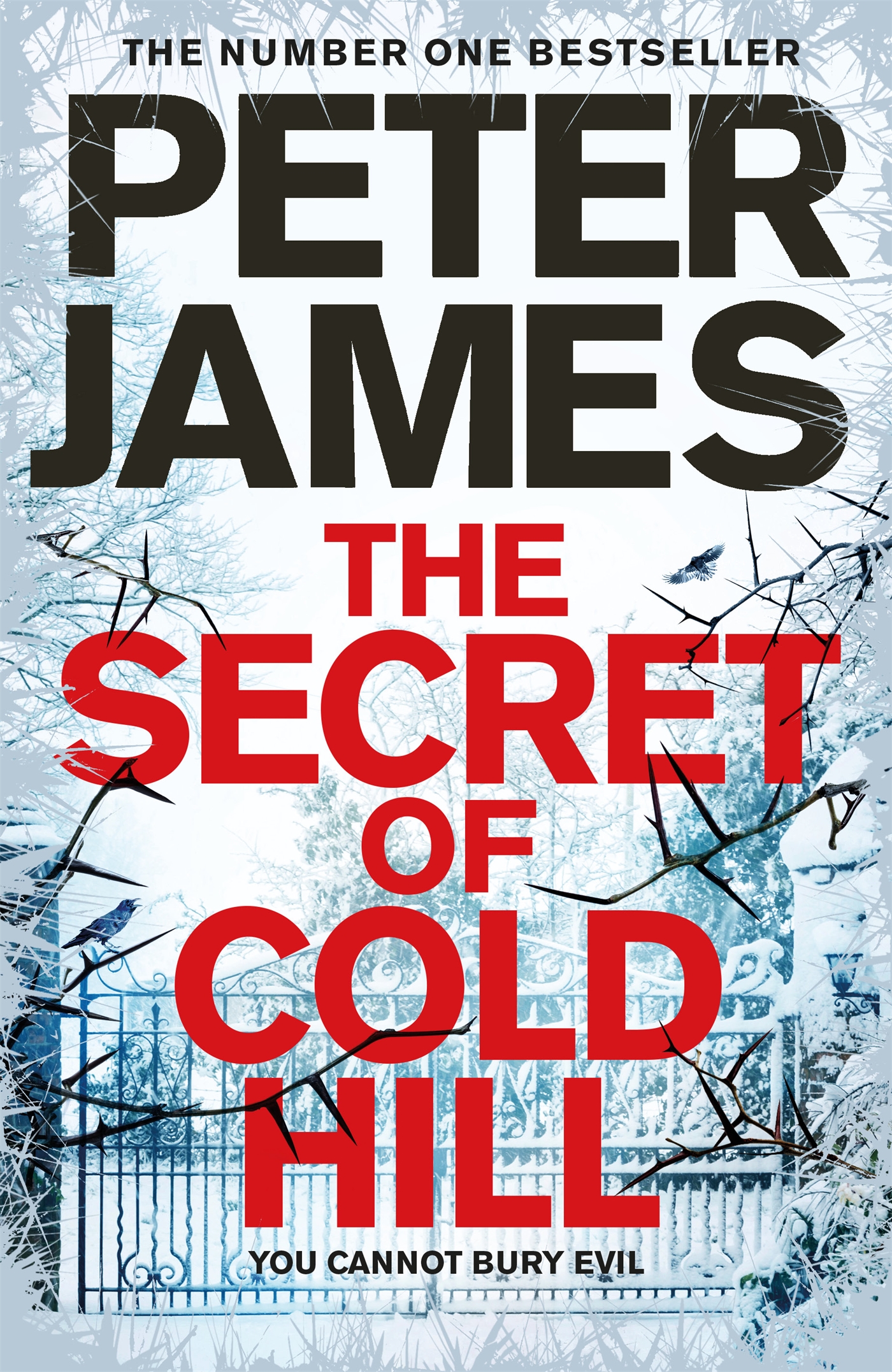 The Secret of Cold Hill 1 The Secret of Cold Hill