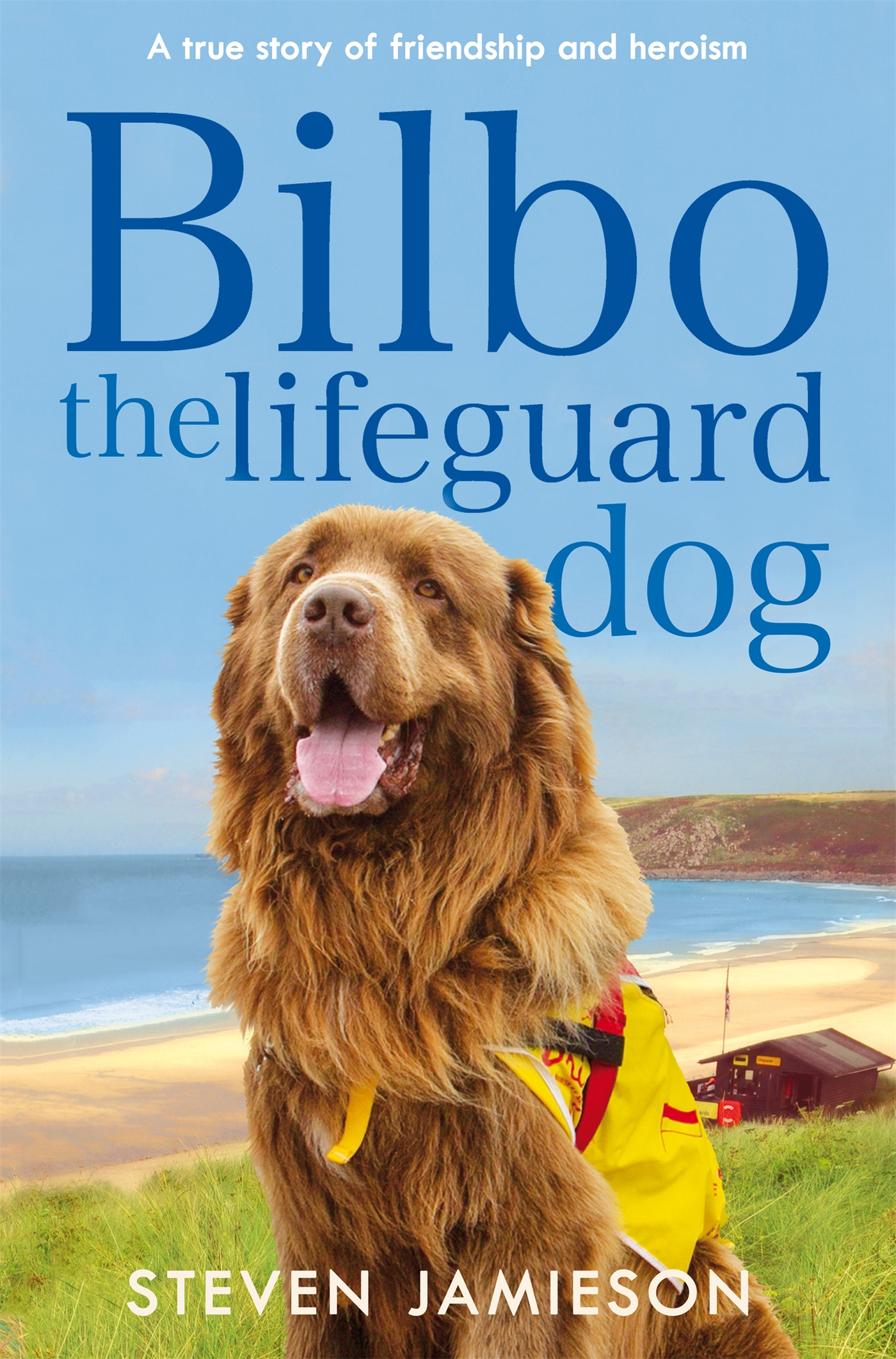 Bilbo the Lifeguard Dog 1 Bilbo the Lifeguard Dog
