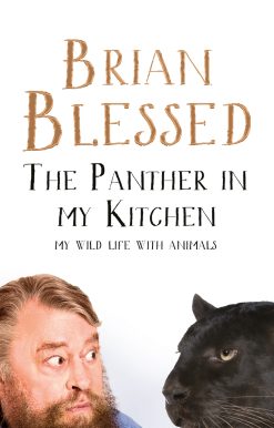 The Panther In My Kitchen