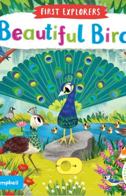 Beautiful Birds