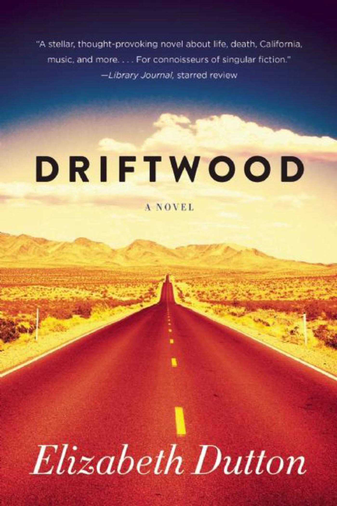 Driftwood: A Novel