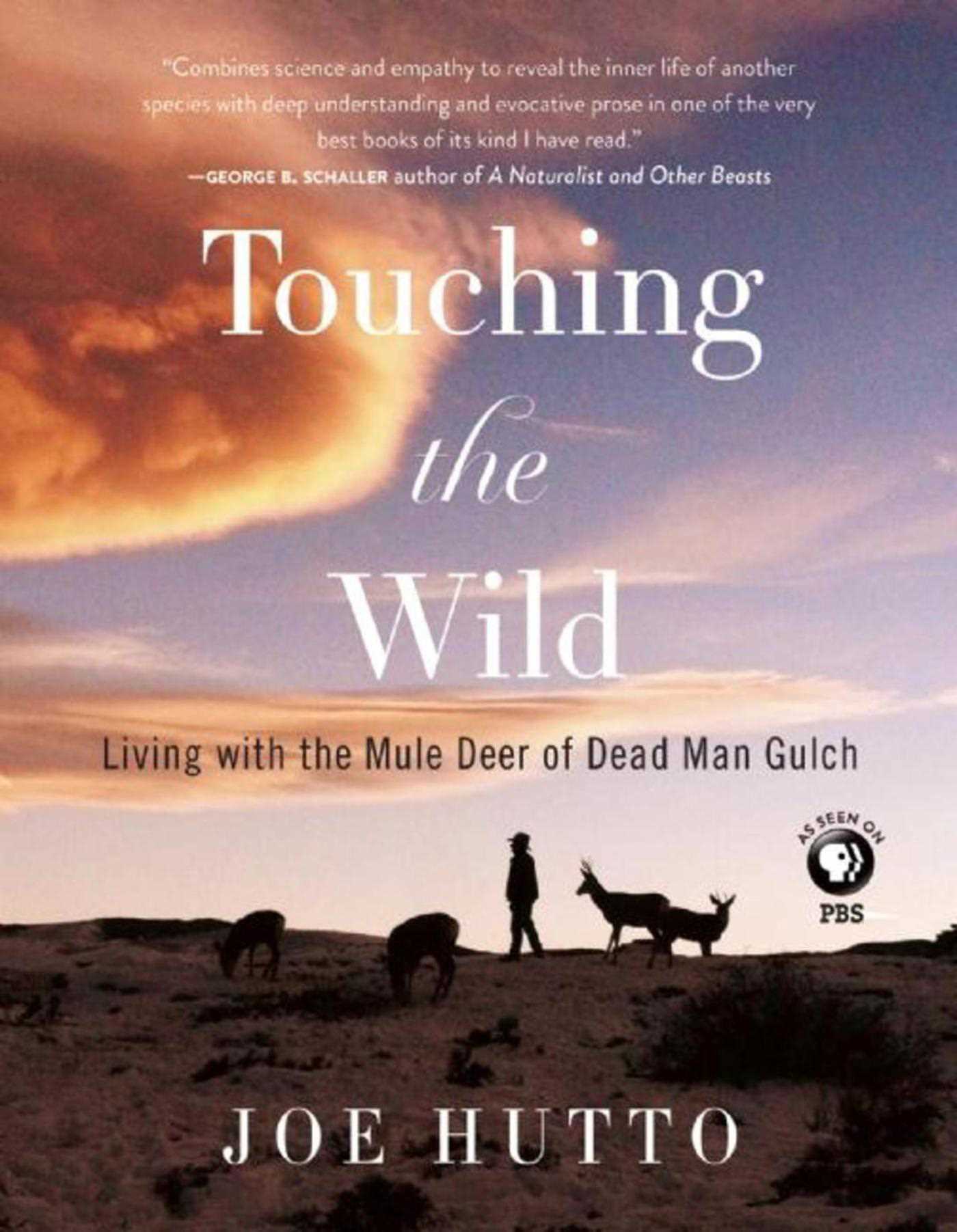 Touching the Wild: Living with the Mule Deer of Deadman Gulch