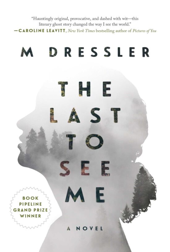 The Last to See Me: The Last Ghost Series, Book One
