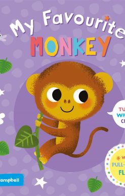 My Favourite Monkey
