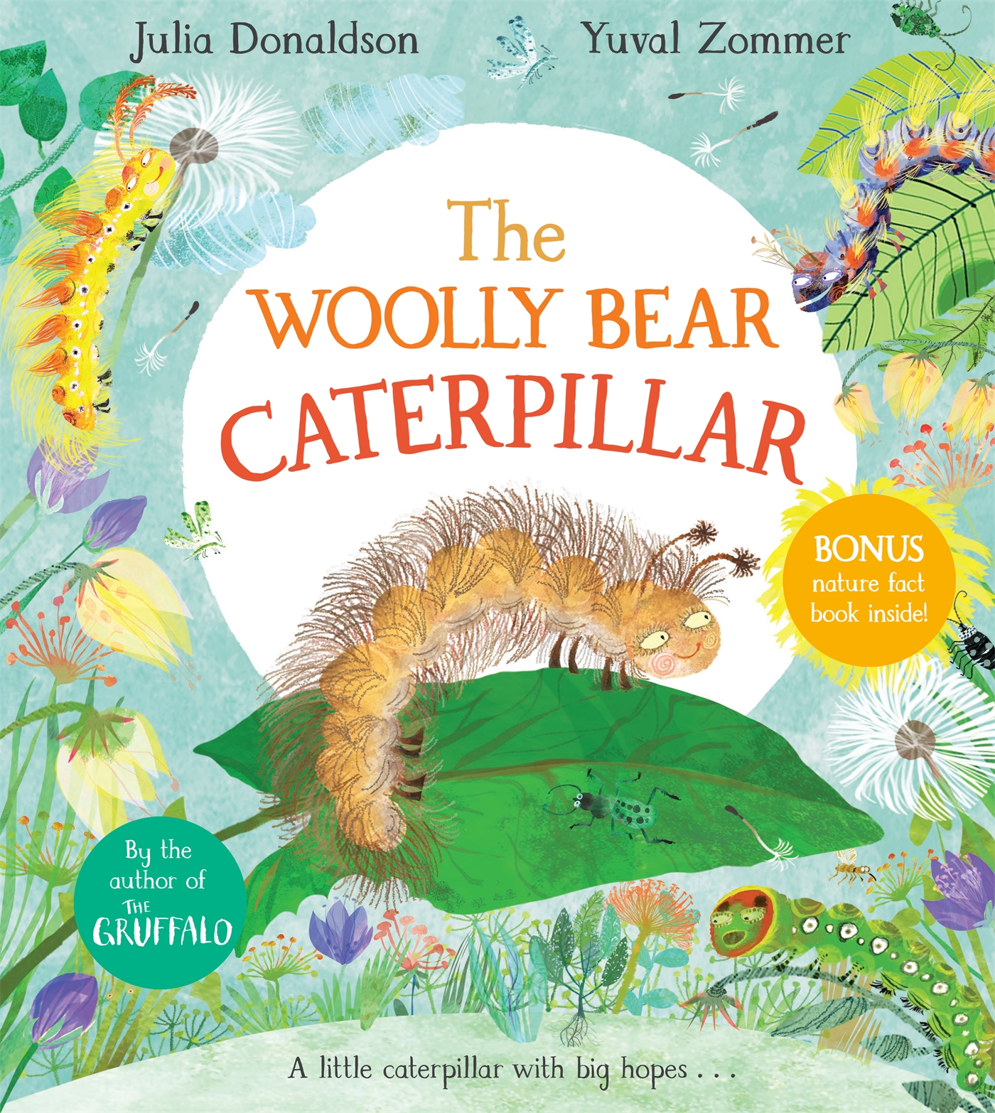 The Woolly Bear Caterpillar 1 The Woolly Bear Caterpillar