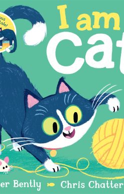 I am Cat
