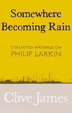 Somewhere Becoming Rain