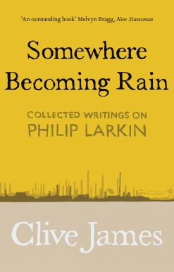 Somewhere Becoming Rain