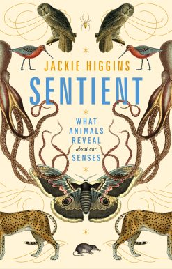 Sentient