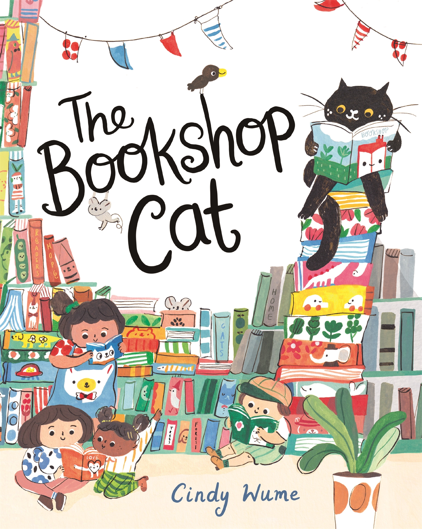 The Bookshop Cat 1 The Bookshop Cat