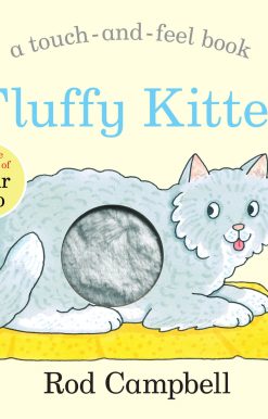 Fluffy Kitten