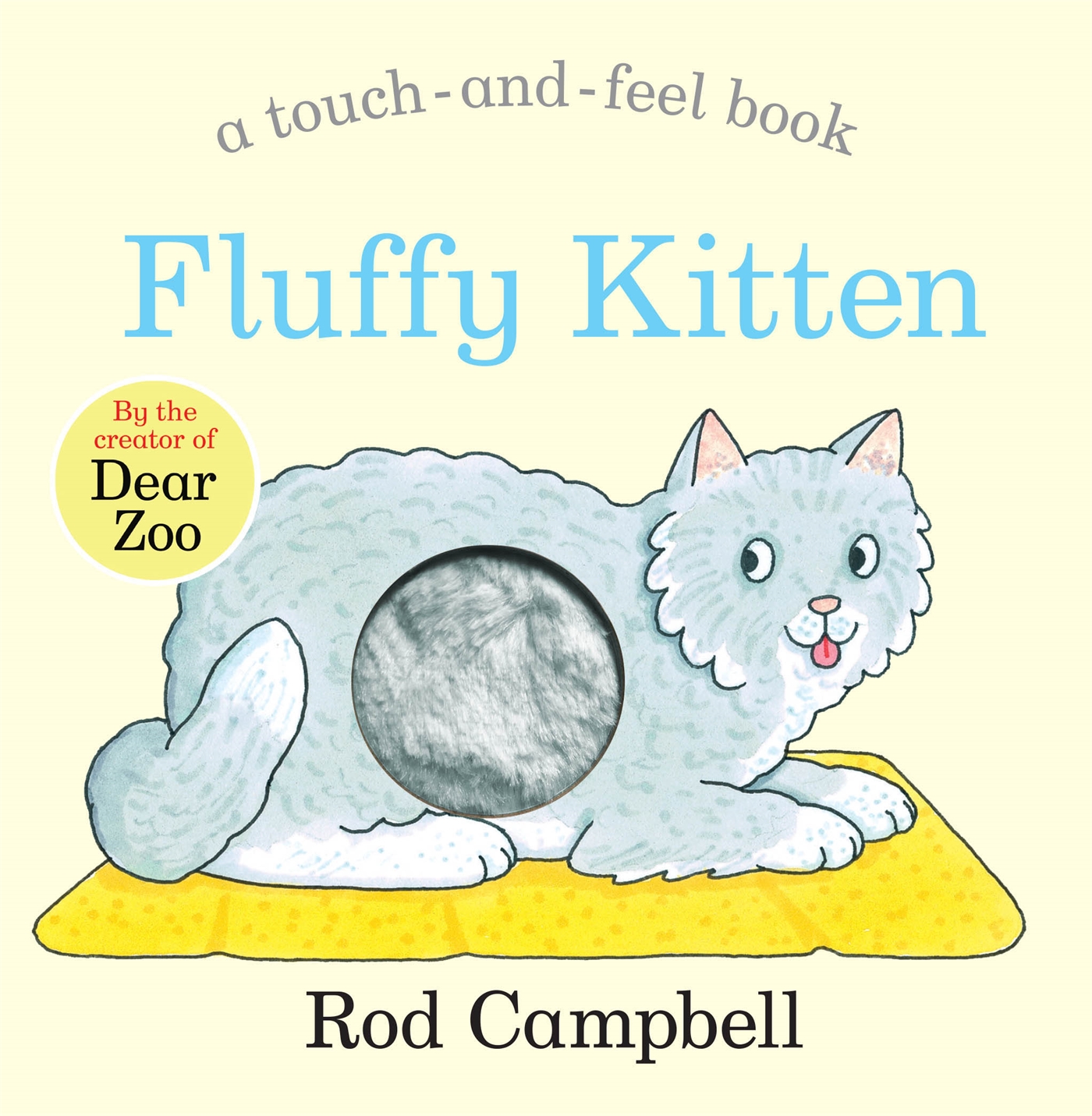 Fluffy Kitten 1 Fluffy Kitten