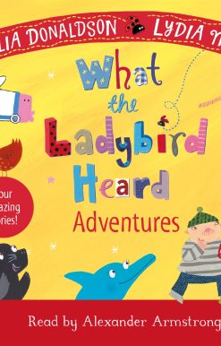 What the Ladybird Heard Adventures