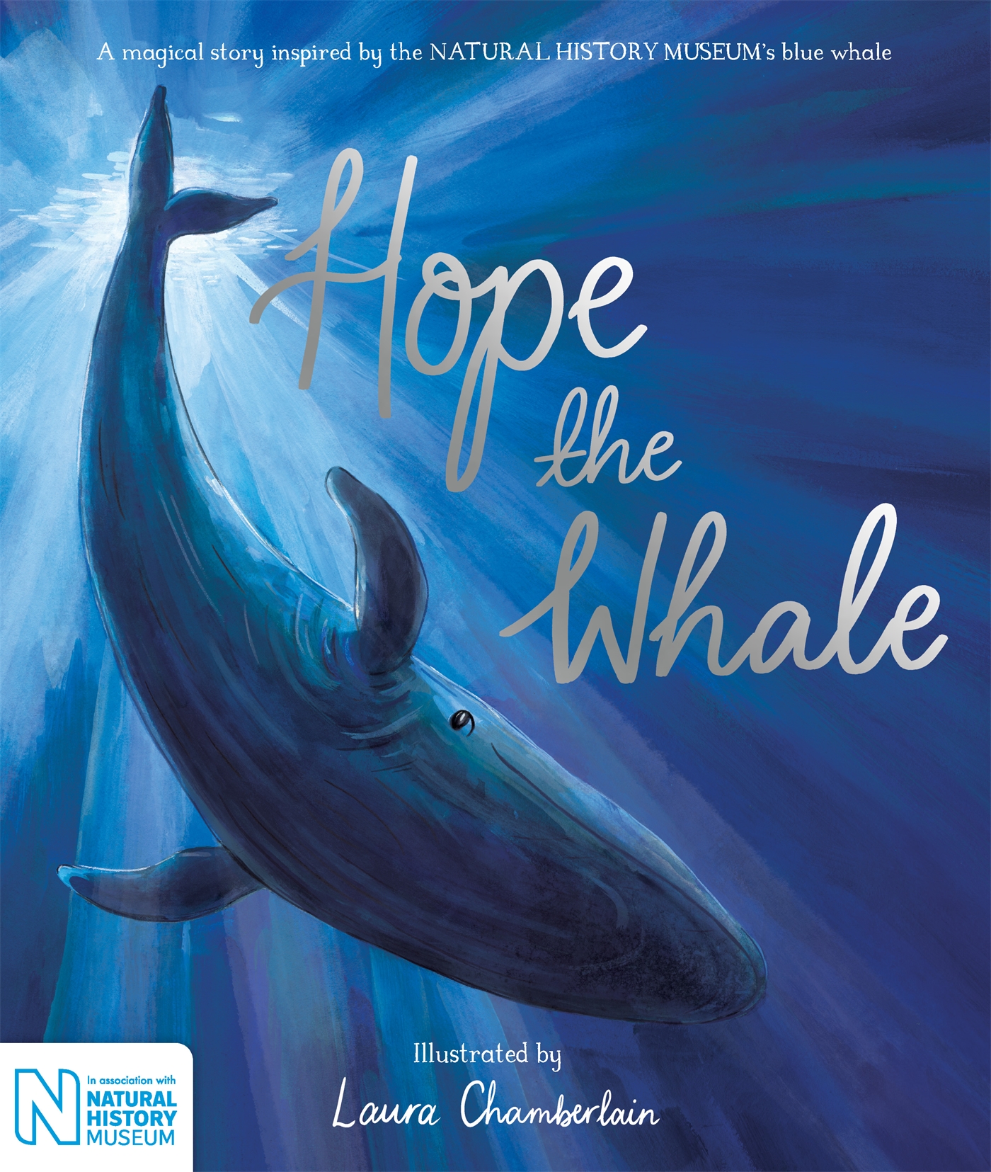Hope the Whale 1 Hope the Whale