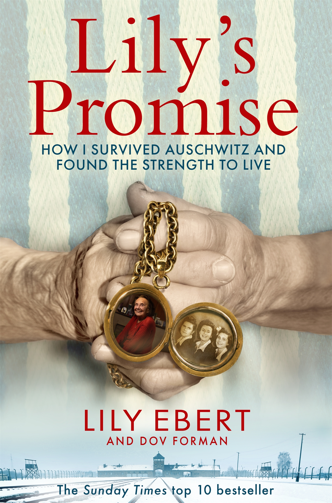 Lily's Promise 1 Lily's Promise