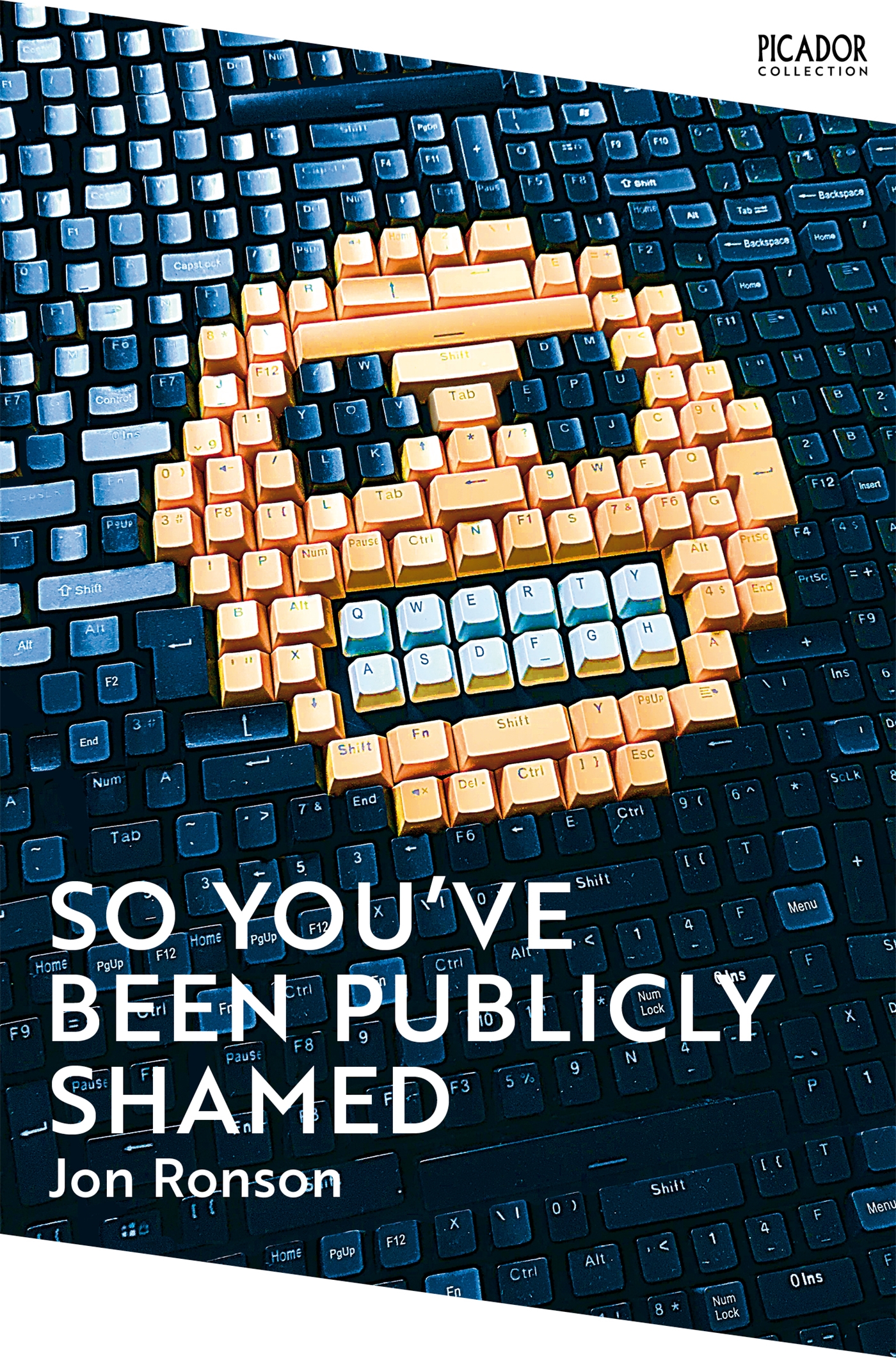 So You've Been Publicly Shamed 1 So You've Been Publicly Shamed