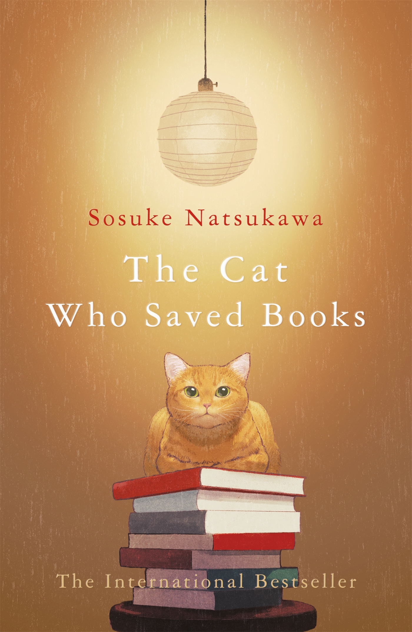 The Cat Who Saved Books 1 The Cat Who Saved Books