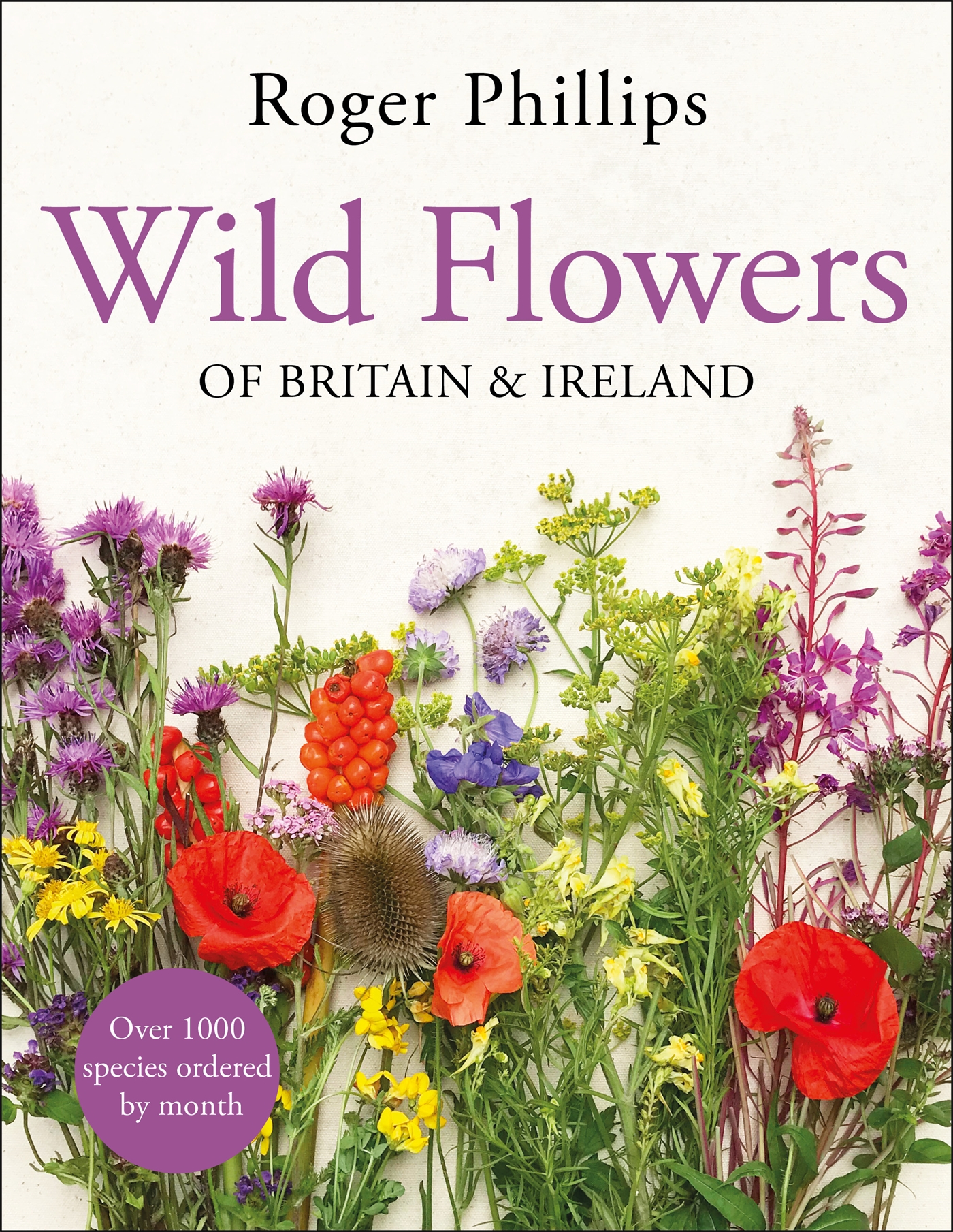 Wild Flowers 1 Wild Flowers