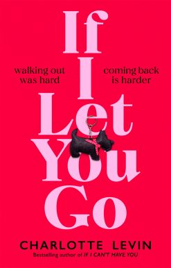 If I Let You Go