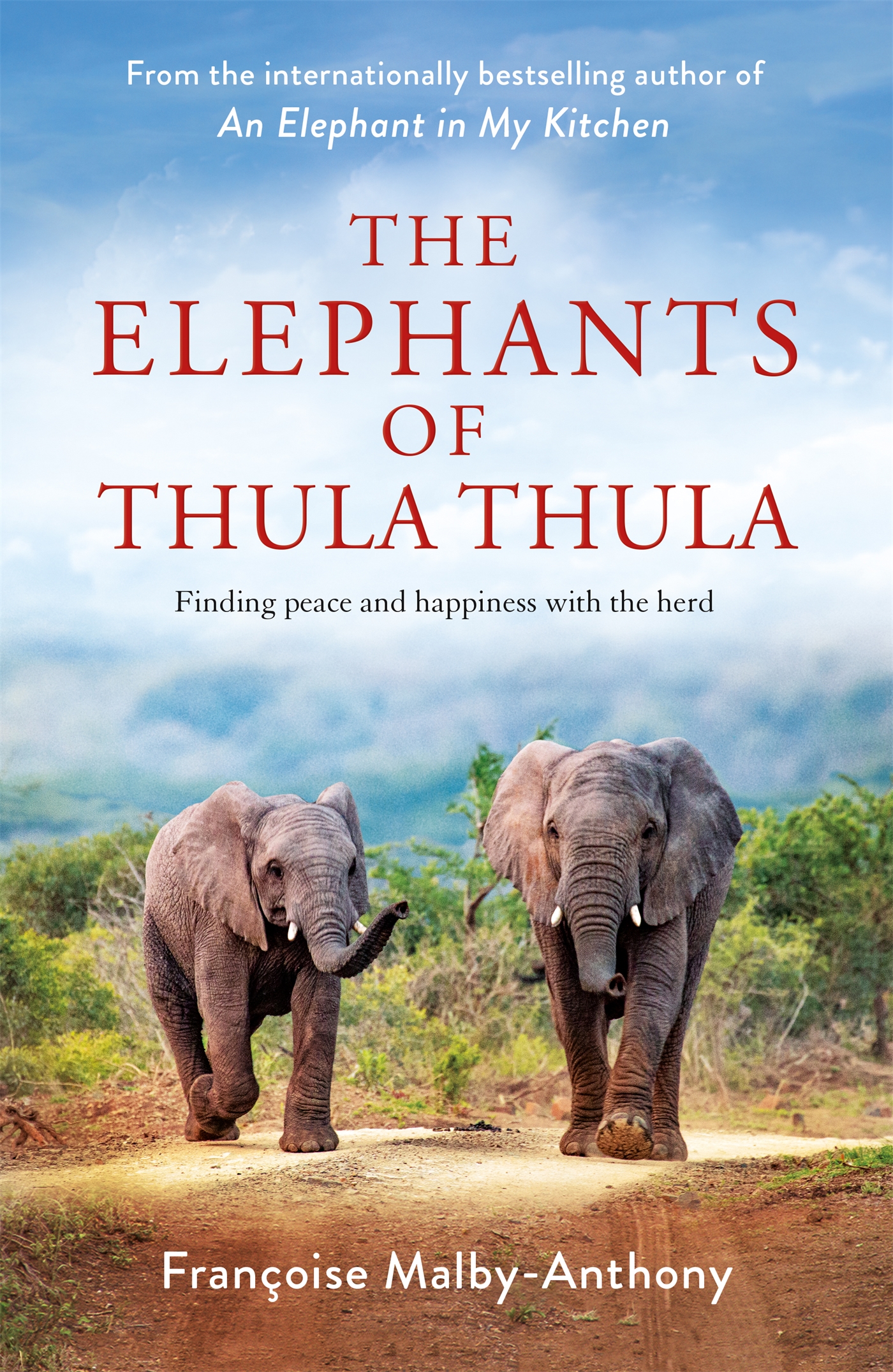 The Elephants of Thula Thula 1 The Elephants of Thula Thula