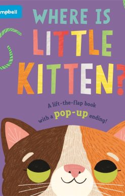 Where is Little Kitten?
