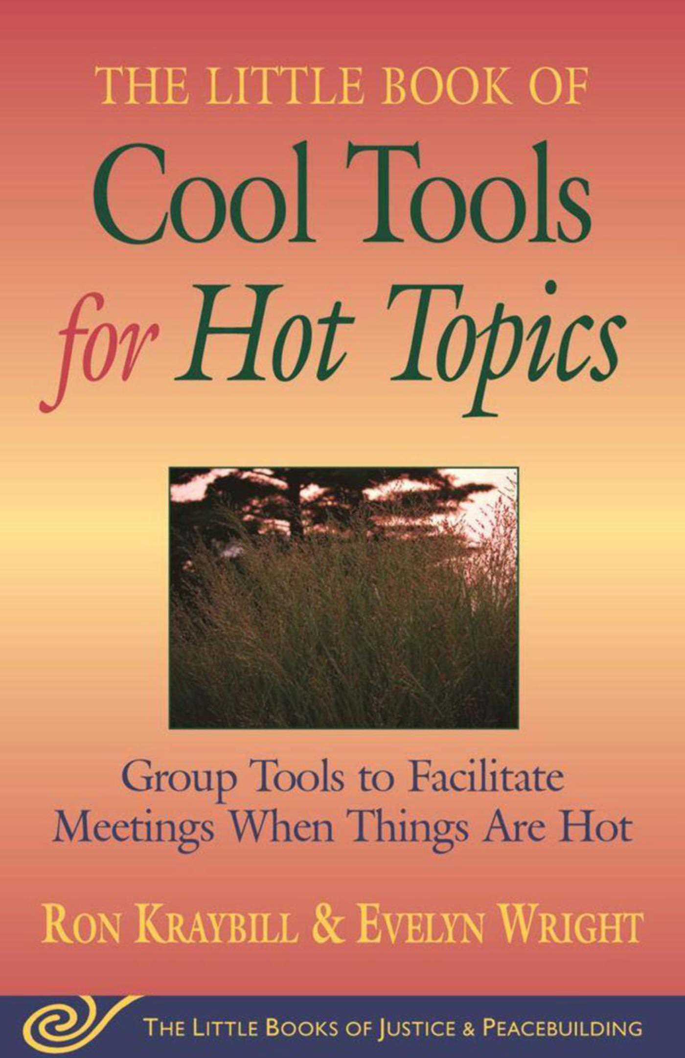 Little Book of Cool Tools for Hot Topics: Group Tools To Facilitate Meetings When Things Are Hot