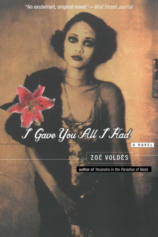 I Gave You All I Had: A Novel