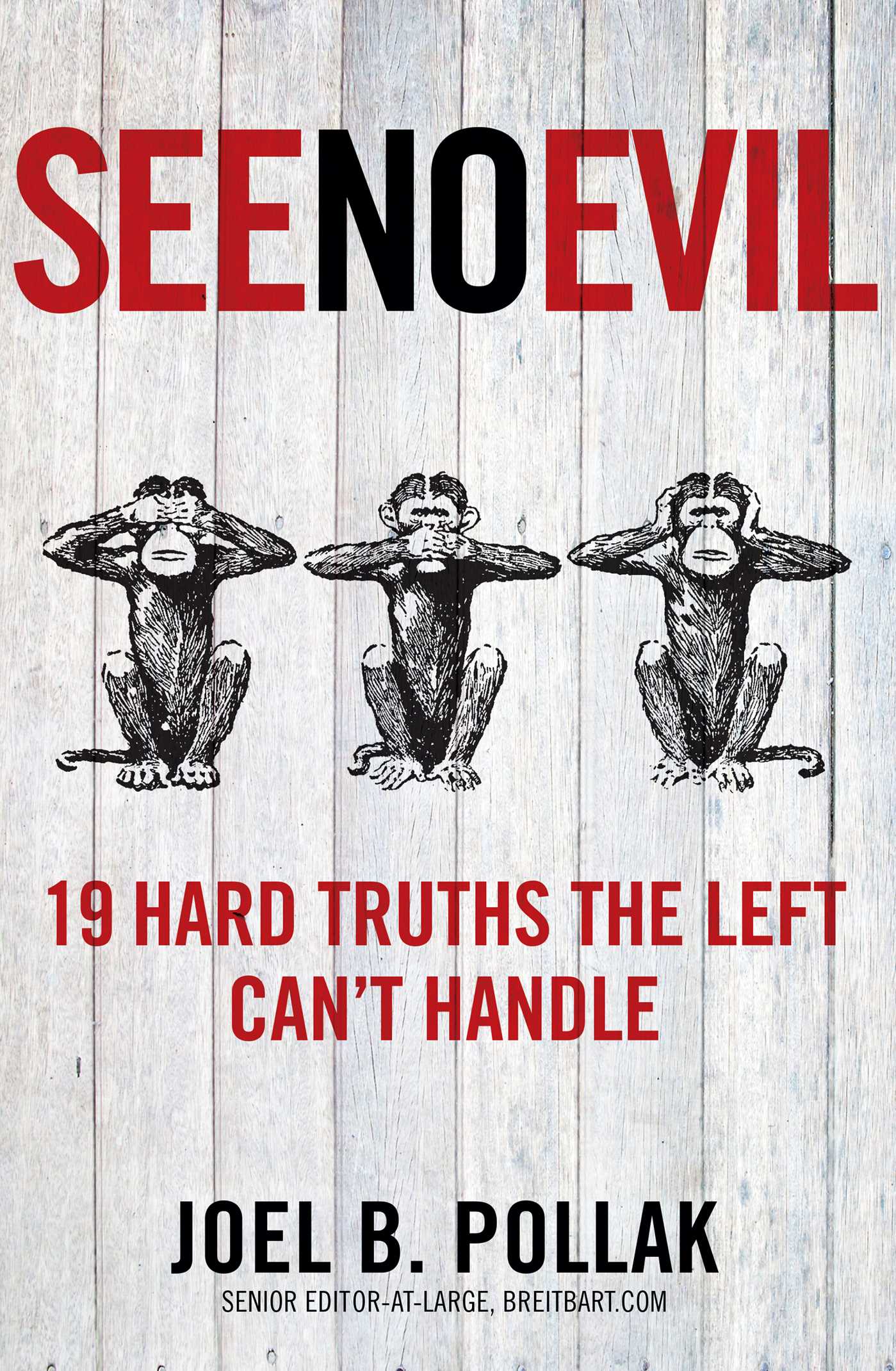 See No Evil: 19 Hard Truths the Left Can't Handle 1 See No Evil: 19 Hard Truths the Left Can't Handle