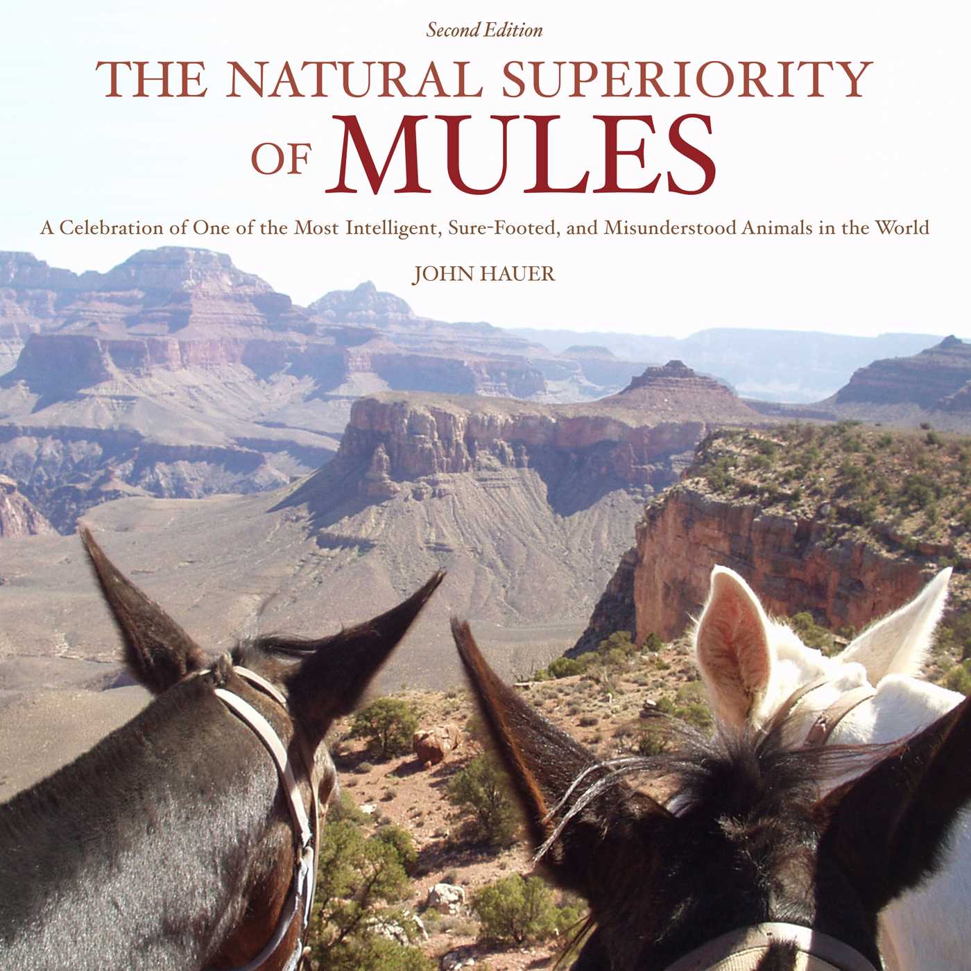 The Natural Superiority of Mules: A Celebration of One of the Most Intelligent, Sure-Footed, and Misunderstood Animals in the World, Second Edition 1 The Natural Superiority of Mules: A Celebration of One of the Most Intelligent, Sure-Footed, and Misunderstood Animals in the World, Second Edition