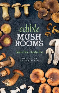 Edible Mushrooms: Safe to Pick, Good to Eat