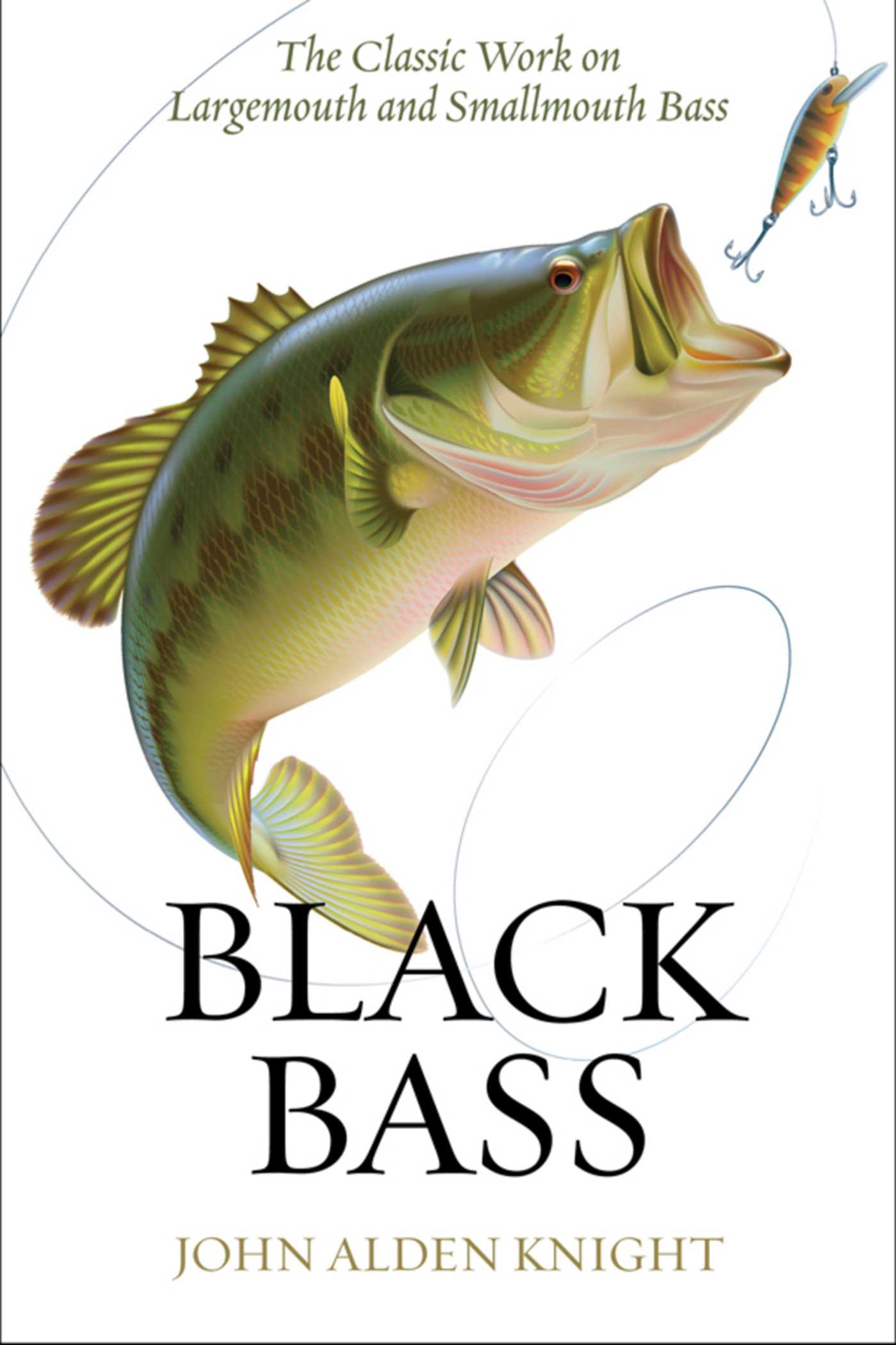 Black Bass 1 Black Bass