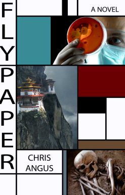 Flypaper: A Novel