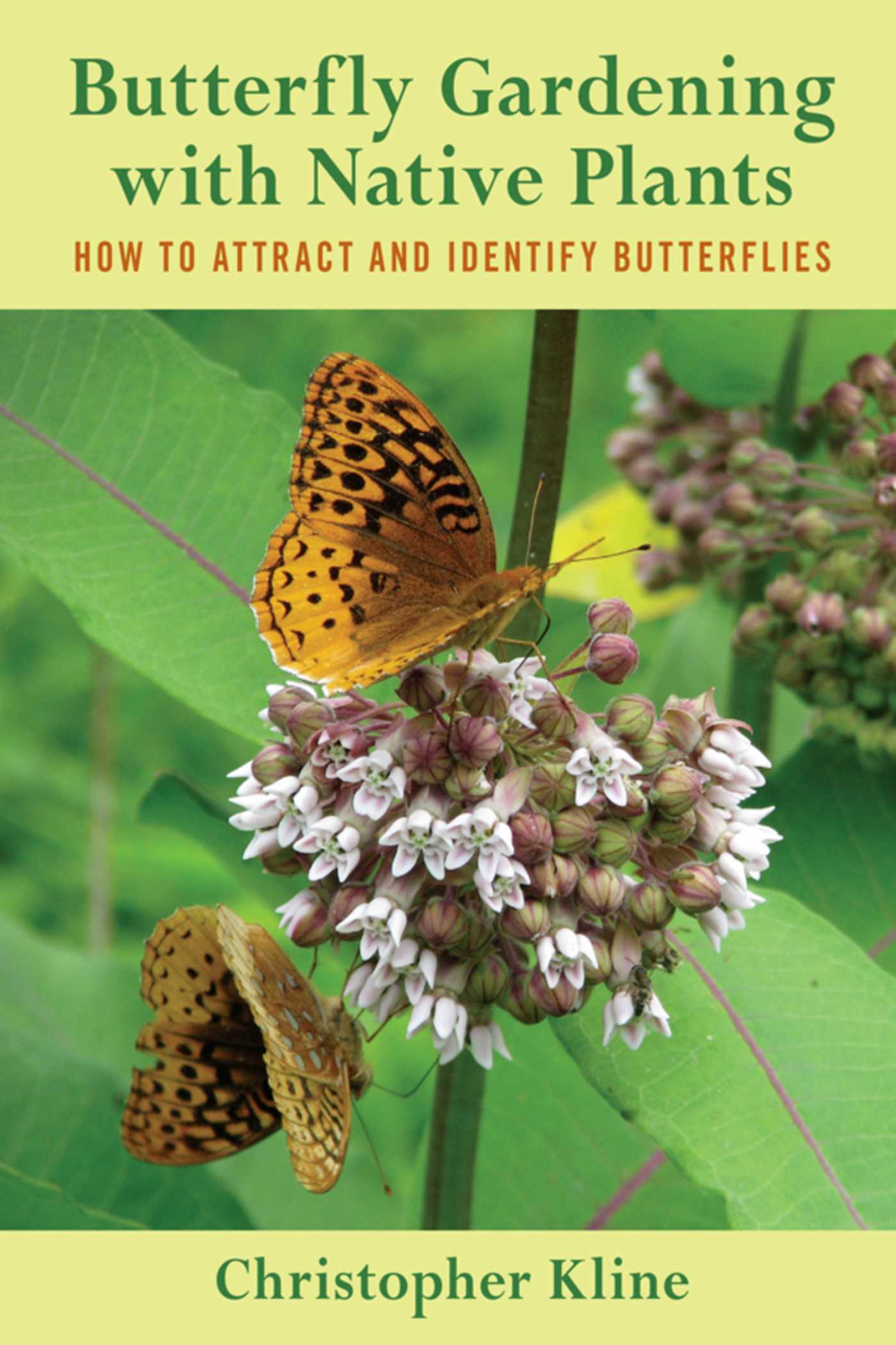 Butterfly Gardening with Native Plants: How to Attract and Identify Butterflies 1 Butterfly Gardening with Native Plants: How to Attract and Identify Butterflies