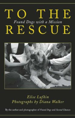 To the Rescue: Found Dogs with a Mission