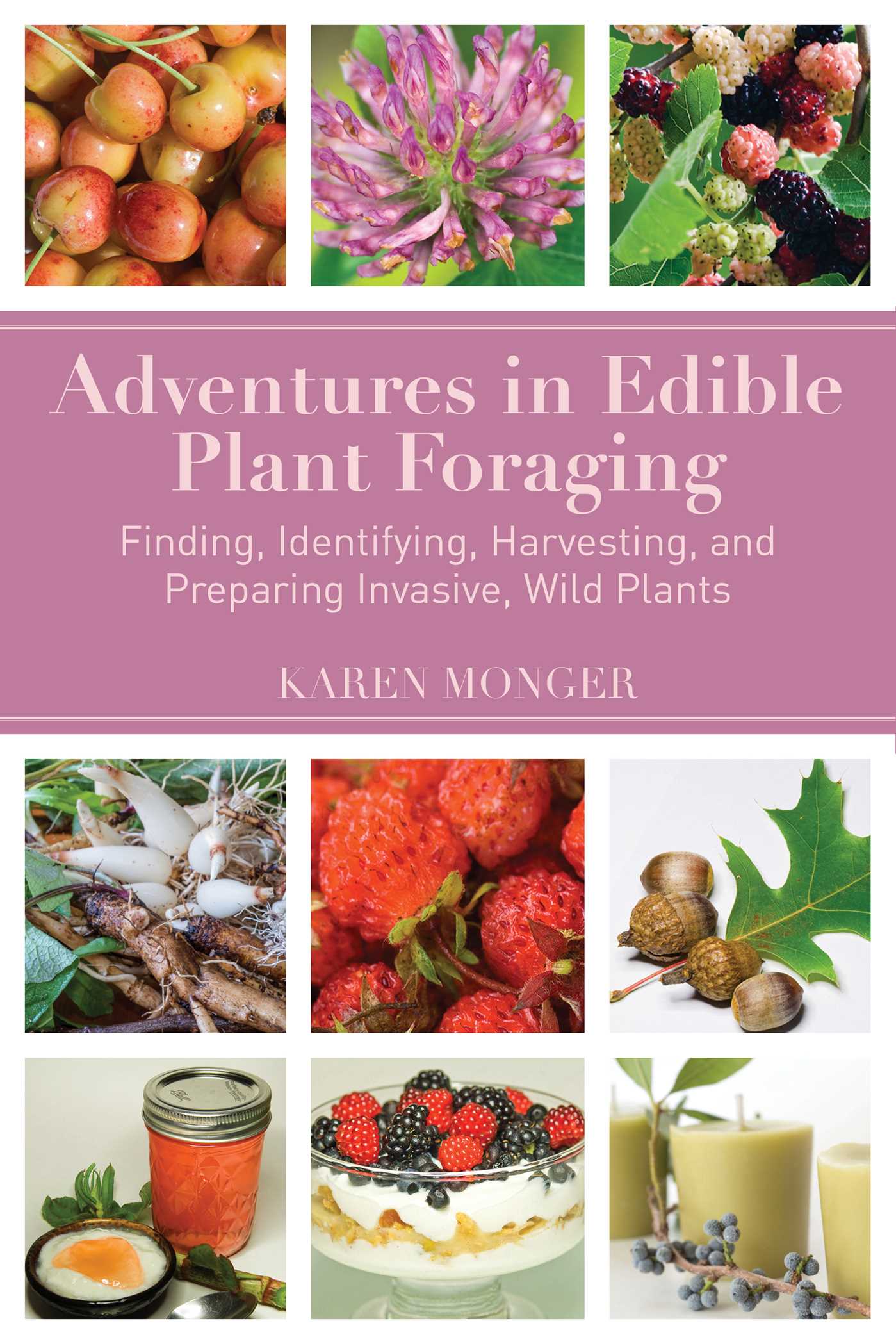 Adventures in Edible Plant Foraging: Finding, Identifying, Harvesting, and Preparing Native and Invasive Wild Plants 1 Adventures in Edible Plant Foraging: Finding, Identifying, Harvesting, and Preparing Native and Invasive Wild Plants