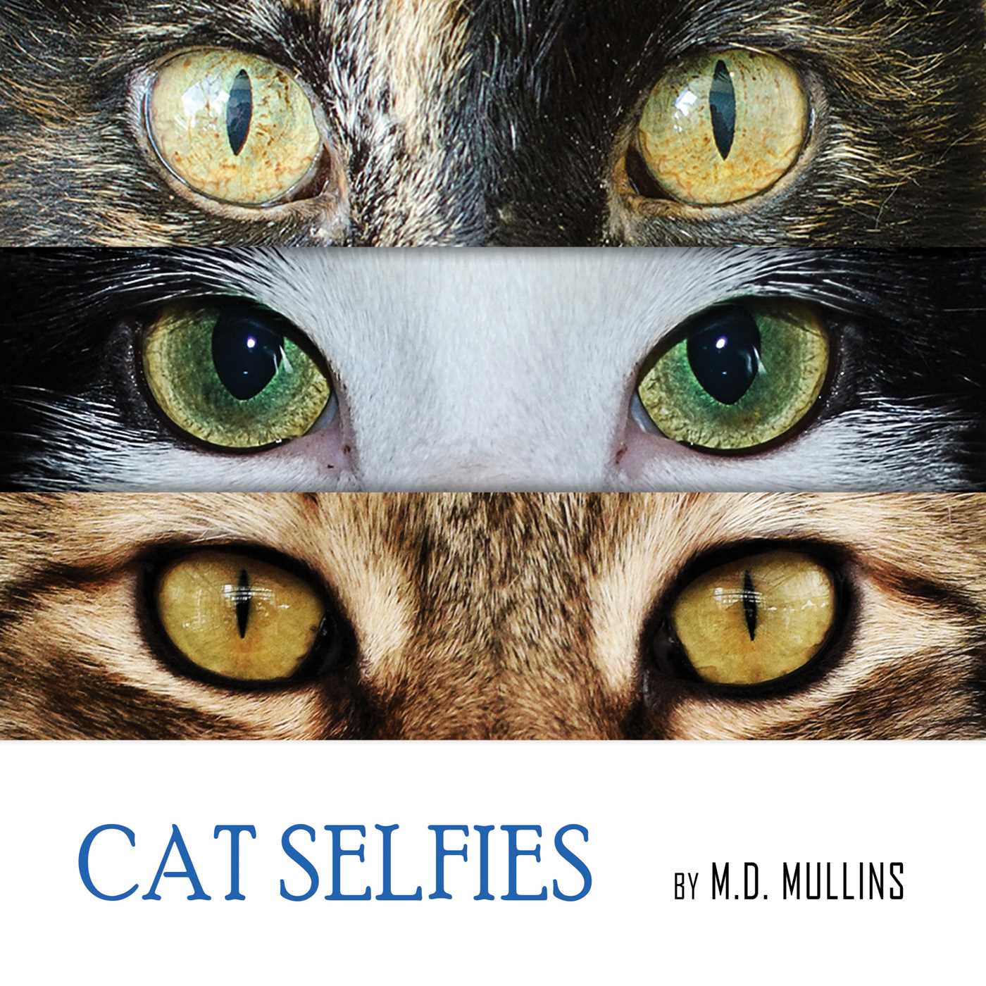 Cat Selfies 1 Cat Selfies