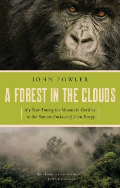 A Forest in the Clouds