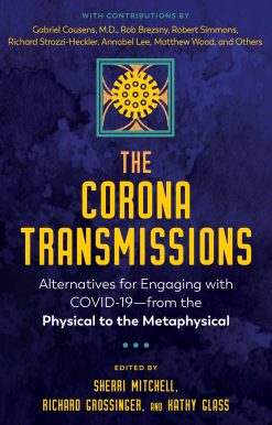 The Corona Transmissions: Alternatives for Engaging with COVID-19 from the Physical to the Metaphysical