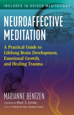 Neuroaffective Meditation: A Practical Guide to Lifelong Brain Development, Emotional Growth, and Healing Trauma