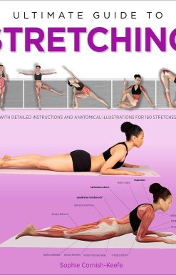 Ultimate Guide to Stretching