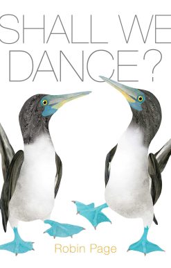 Shall We Dance?